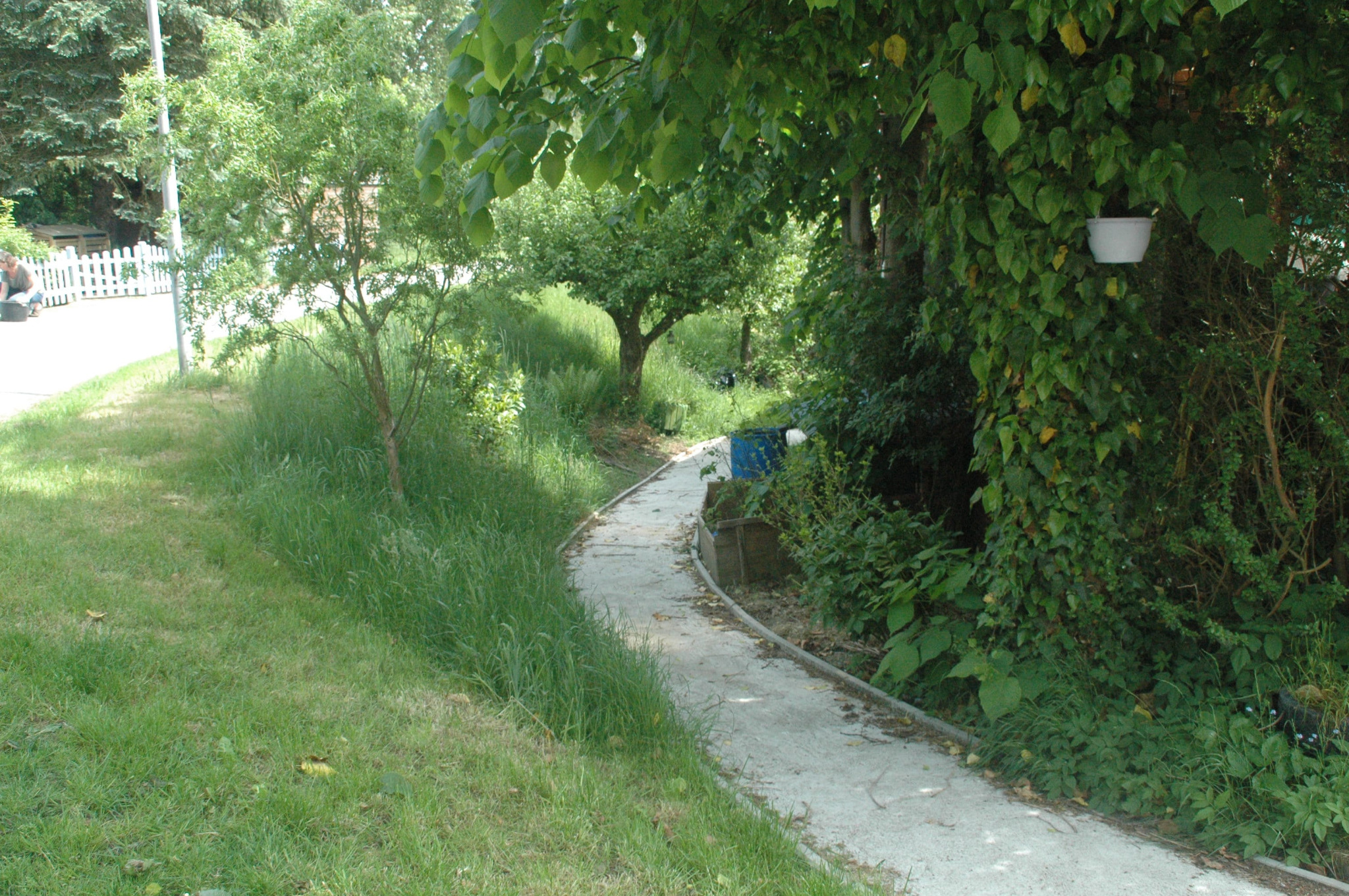 Wegebau und Grünbereich